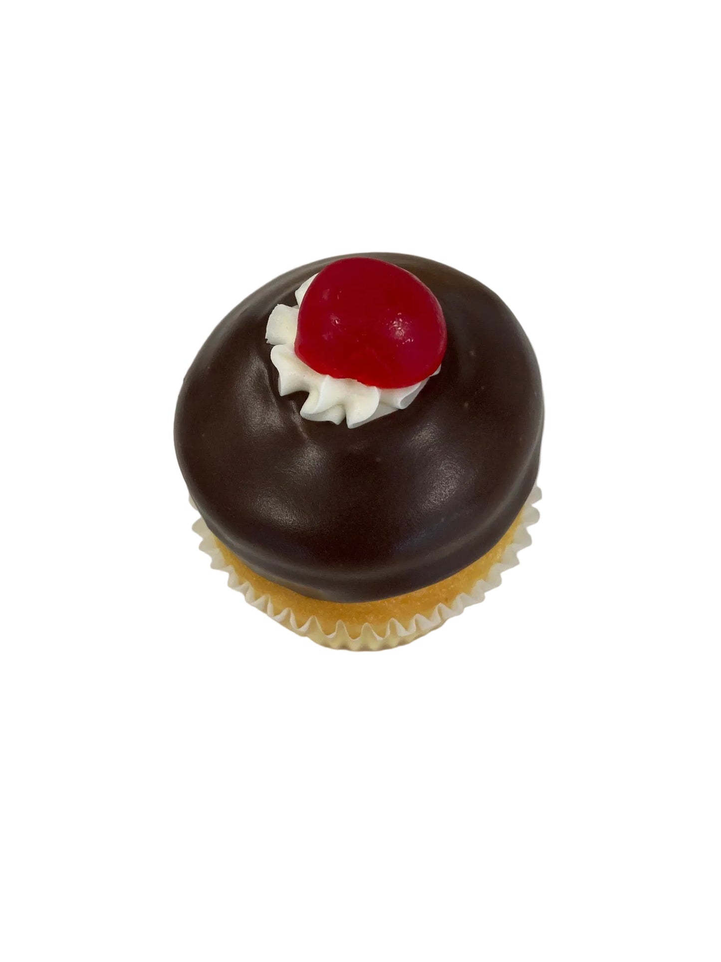 Boston Cream cupcake