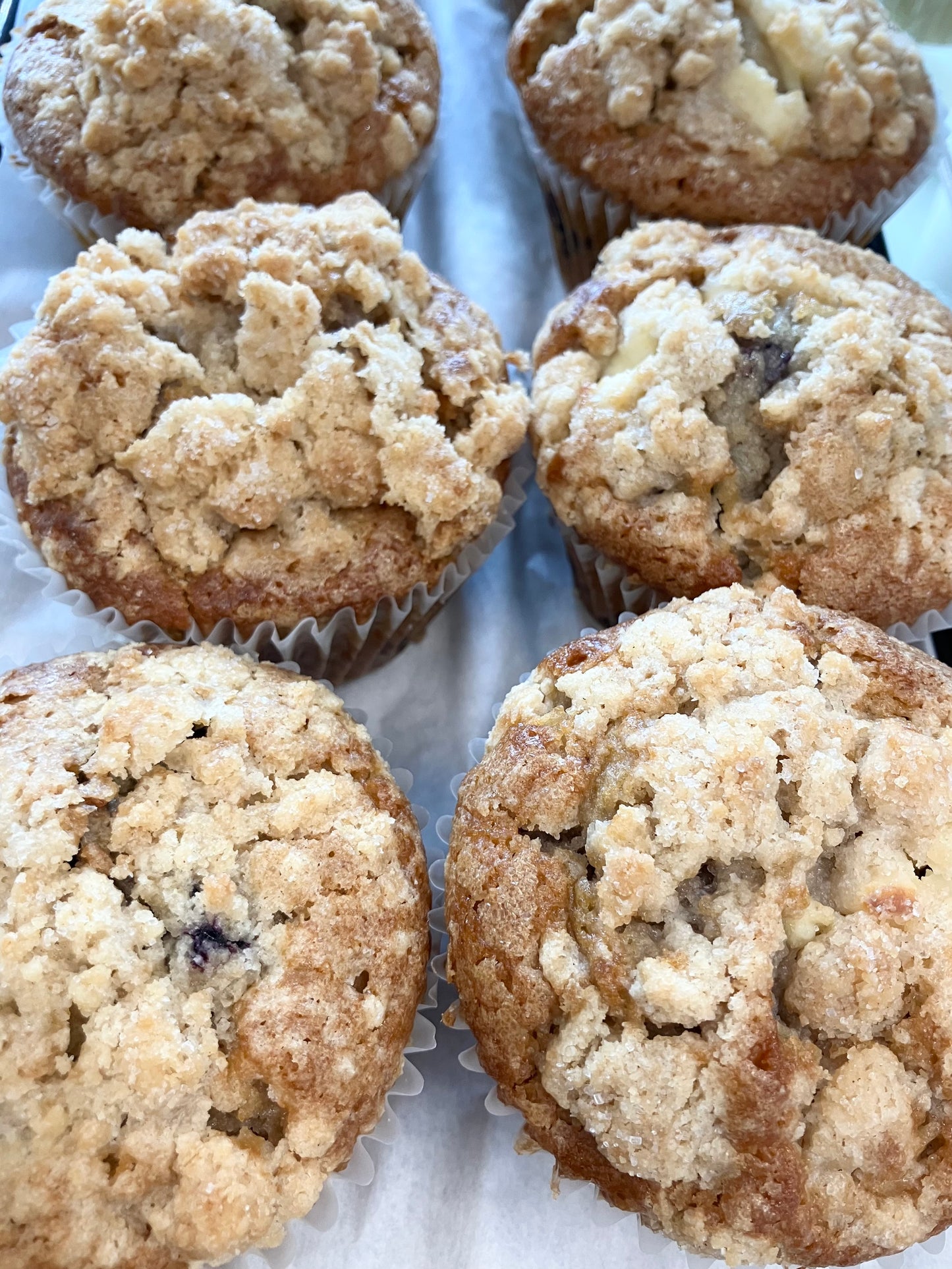 Giant Blueberry Muffins